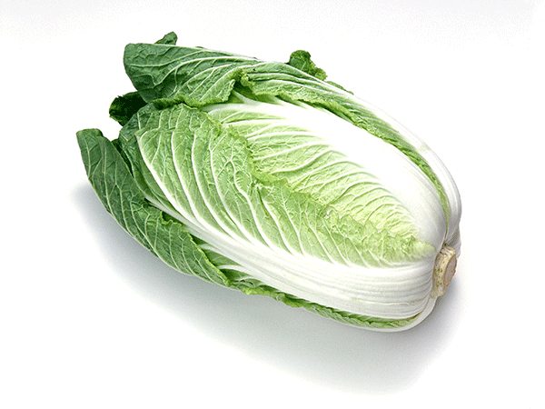 素菜類