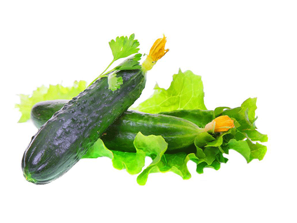 素菜類