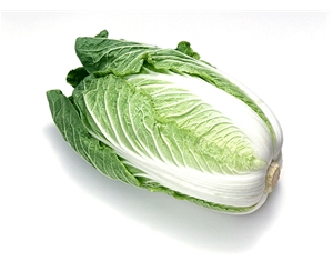 素菜類